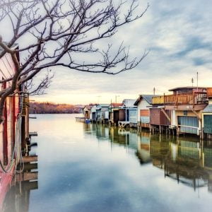 Trick of the LIght Photography